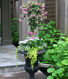 Beautifully placed urns around a porch of a house