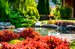 Beautiful landscape design with red flowers and pond