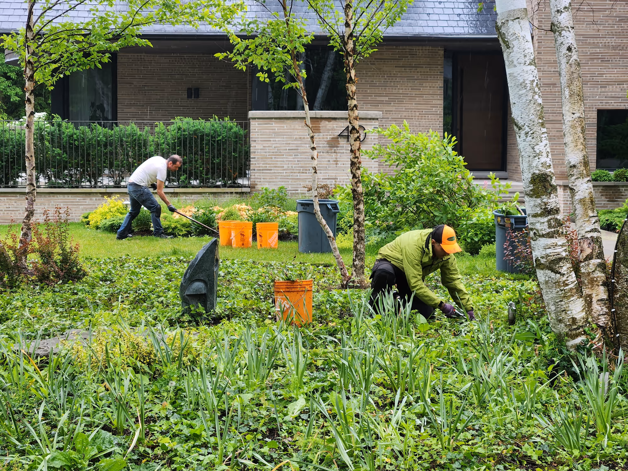 Landcare crew maintaining planted beds