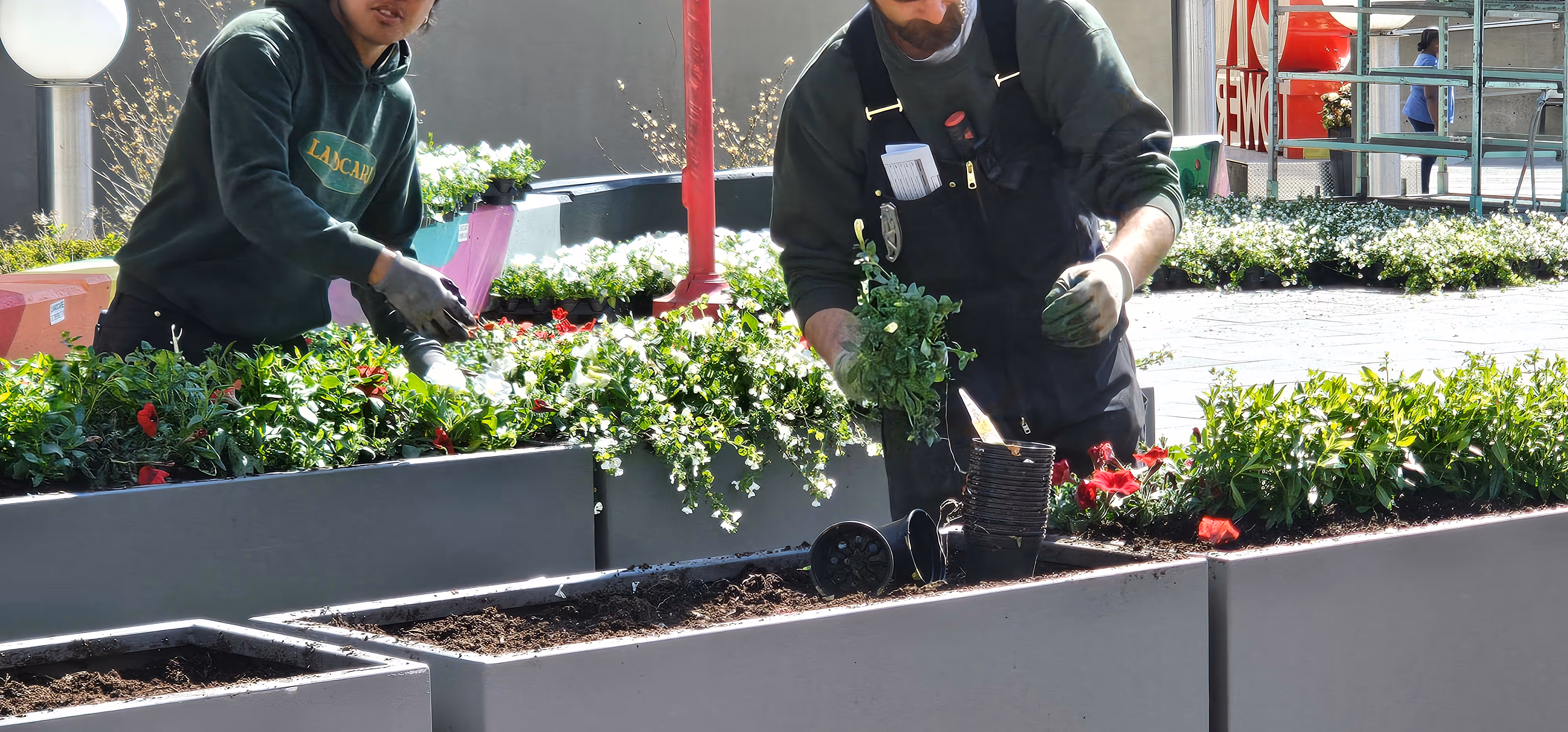 Landcare team process garden project