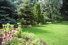 A well maintained garden with proper landscaping, trees and shrubs